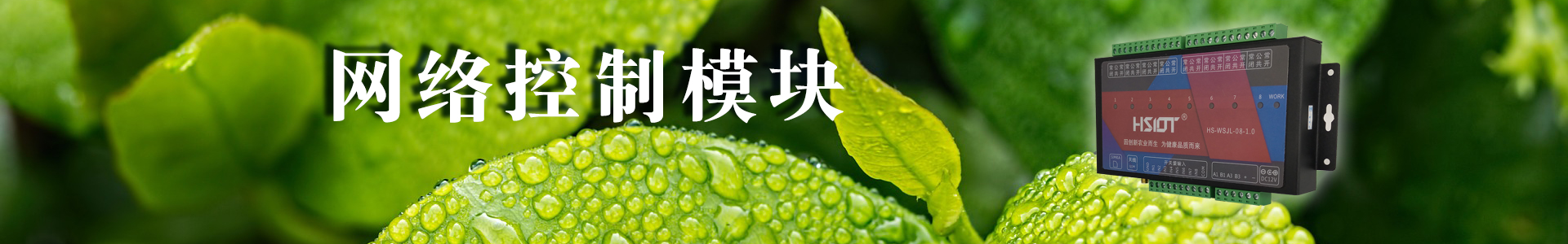 現代農業(yè)物聯網領航者-華勝物聯網科技有限公司