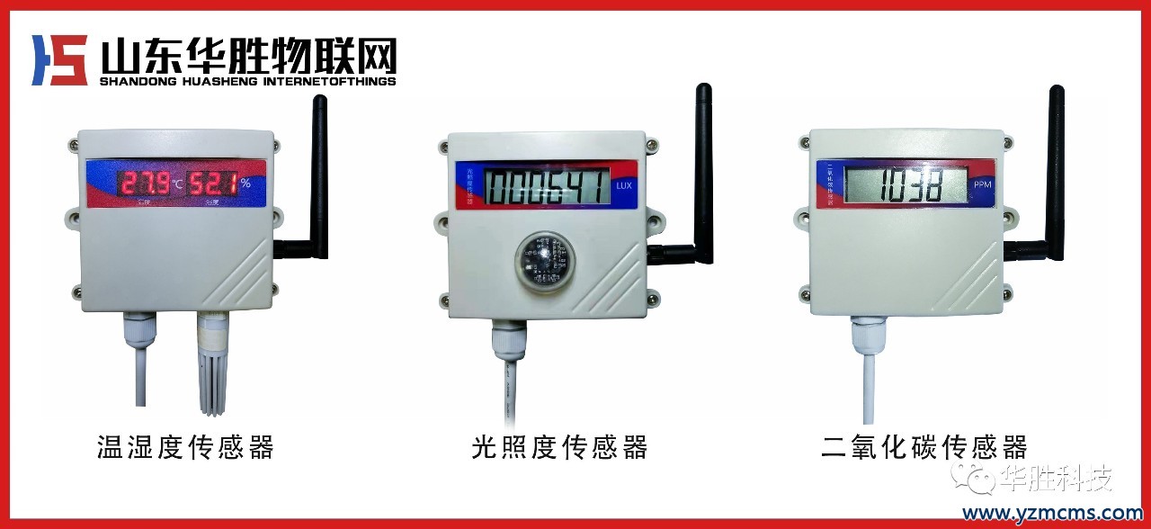 溫室大棚西瓜技術(shù)的栽培重點(diǎn)
