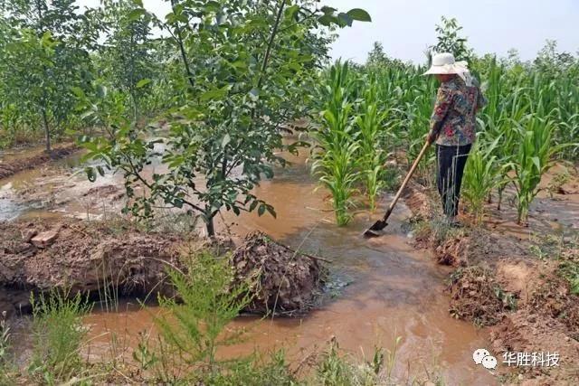 灌溉不合理造成的土壤問(wèn)題及解決方案|水肥一體化灌溉