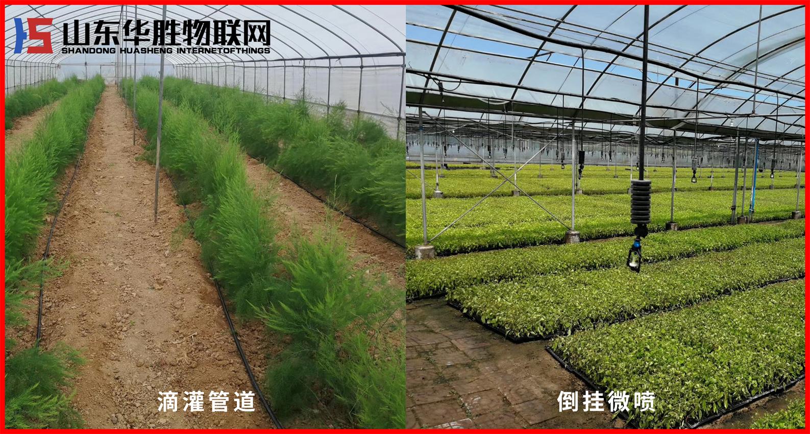 農業(yè)物聯(lián)網(wǎng)智能水肥一體機解決方案