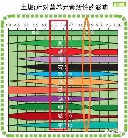 土壤的三大“殺手” 直接影響肥效和作物生長(zhǎng)，90％的人都不知道！