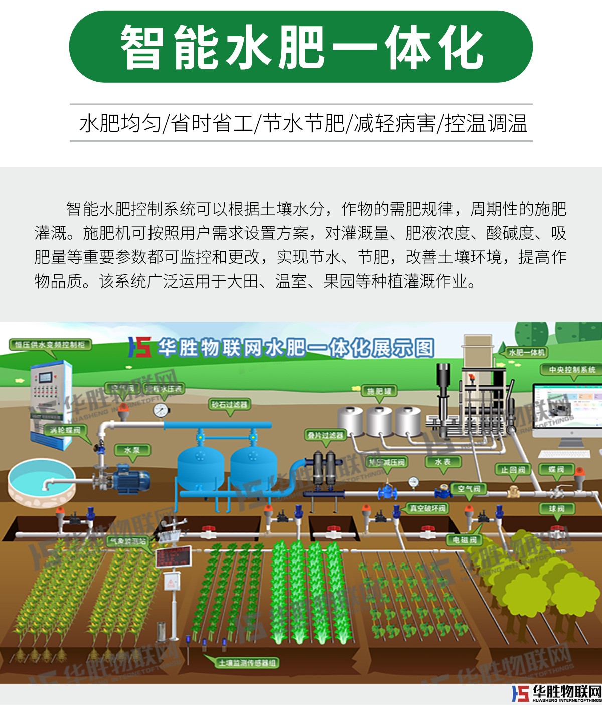 水精靈經濟版