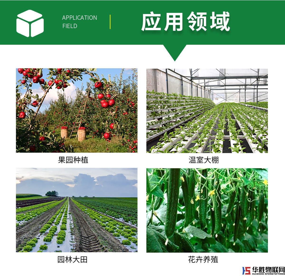 水精靈經濟版