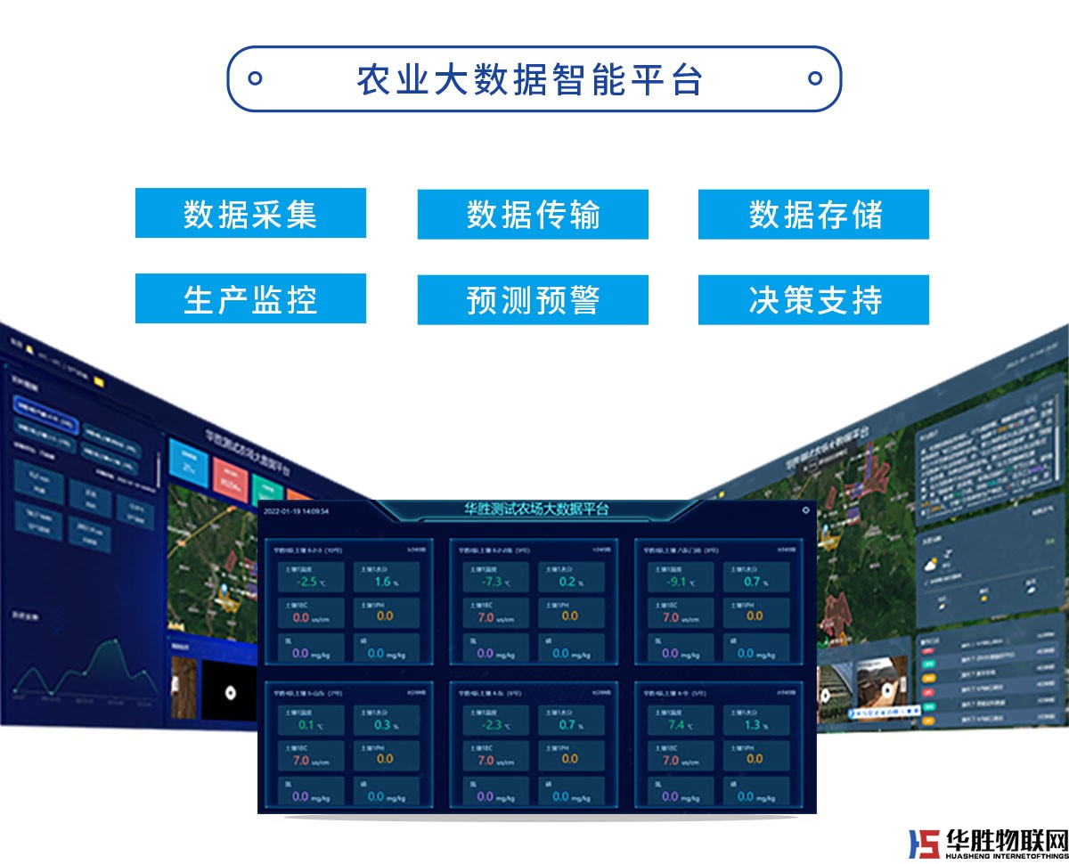 水精靈經濟版