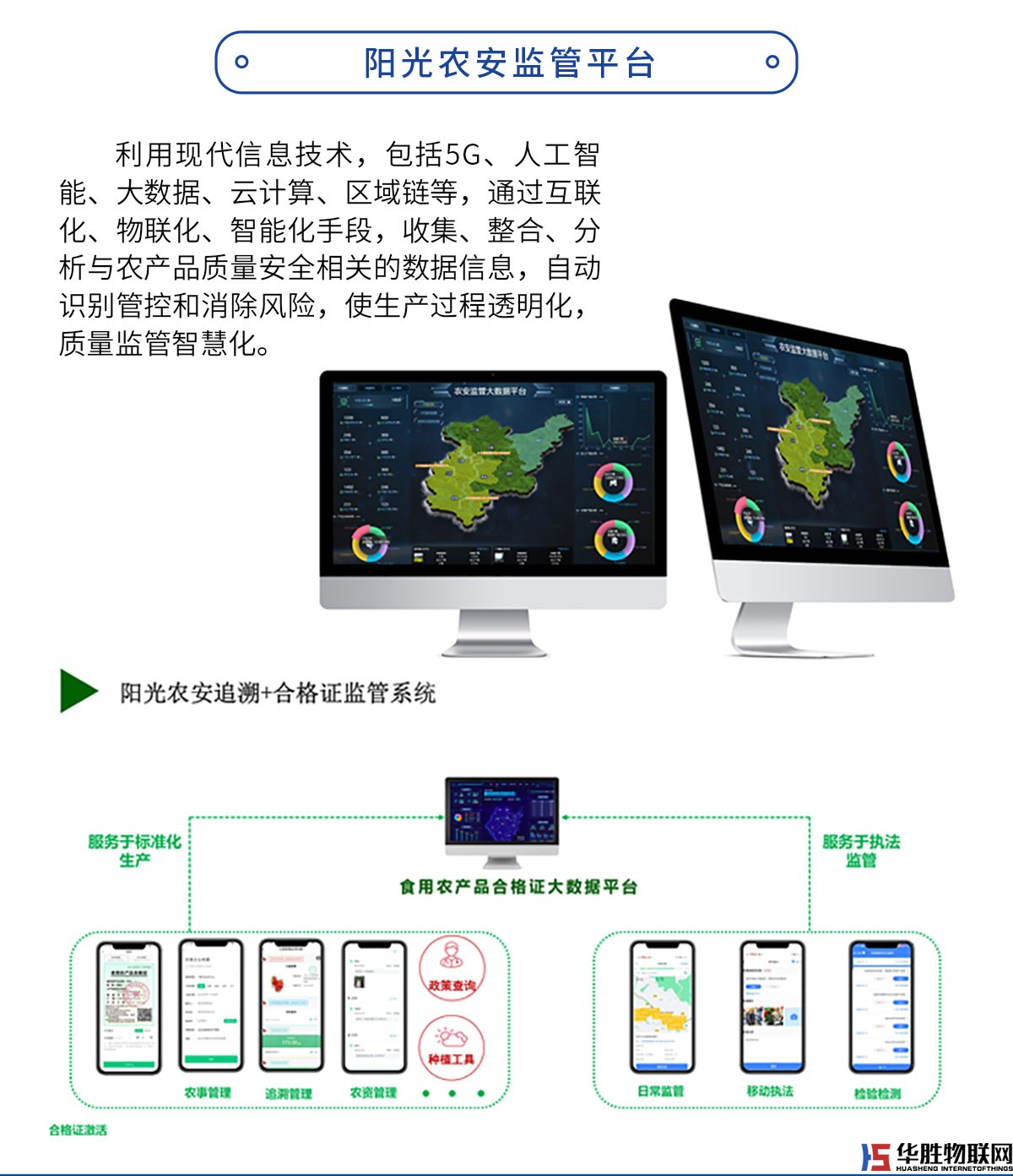 水精靈經濟版